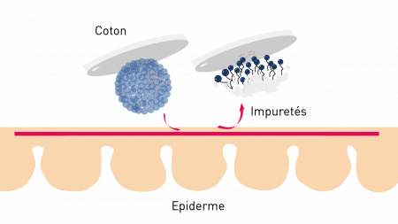 L'action des micelles sur la peau